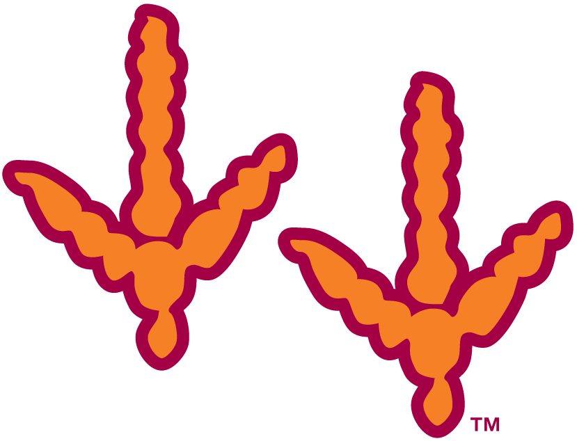 Virginia Tech Hokies 2000-Pres Alternate Logo v2 diy fabric transfer